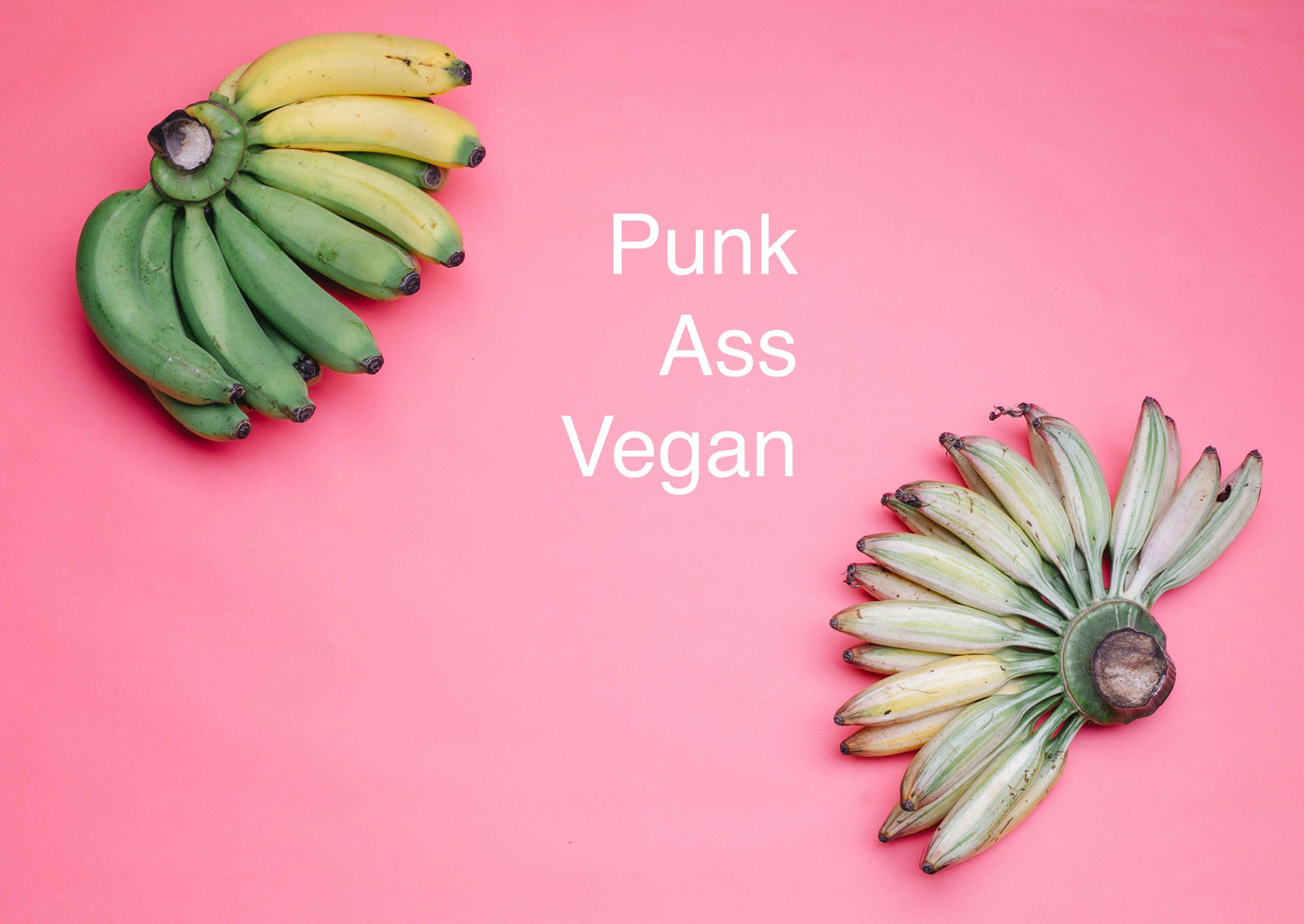 Embrace a Fresh Start with Veganuary - Tolerant Planet