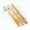 Bamboo Toothbrush - Tolerant Planet