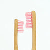 Bamboo Toothbrush - Tolerant Planet