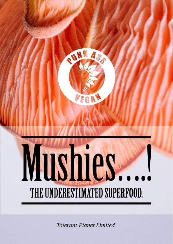 Mushies….! The Underestimated Superfood. - Tolerant Planet
