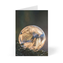  8 Pcs Seasonal Greeting Cards - Tolerant Planet