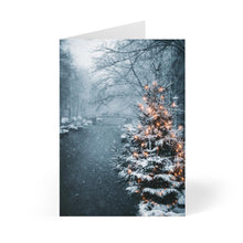  8 Pcs Seasonal Greeting Cards - Tolerant Planet