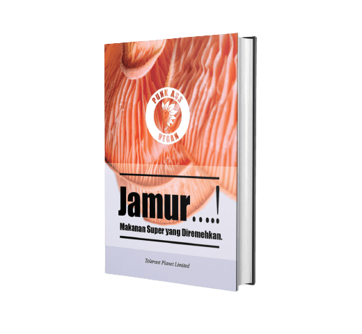 Jamur….! Makanan Super yang Diremehkan. - Tolerant Planet