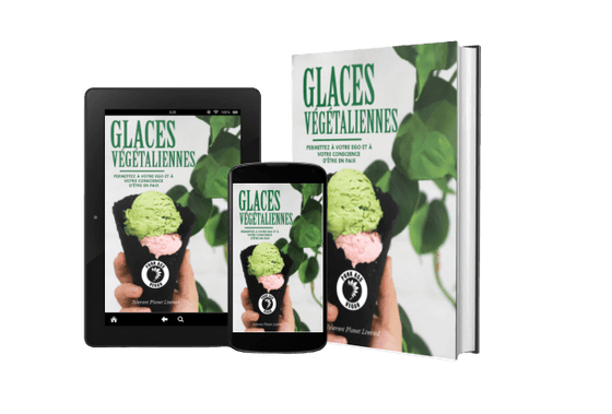 Glaces végétaliennes - Permettre à votre ego et à votre conscience d'être en paix - Tolerant Planet