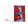 february 14 Greeting Cards (8 pcs) - Tolerant Planet