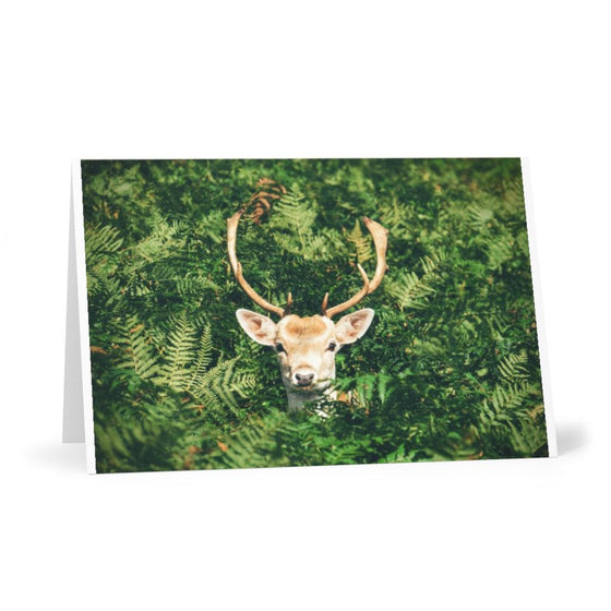 Holiday Greeting Cards (8 pcs) - Tolerant Planet